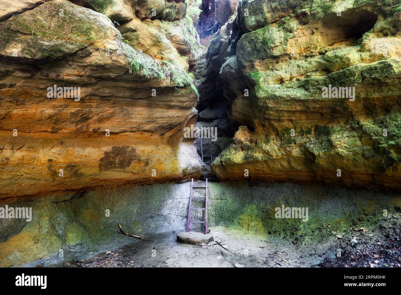 Pivnice sandstone cañón en la república Checa, Vysocina Foto de stock