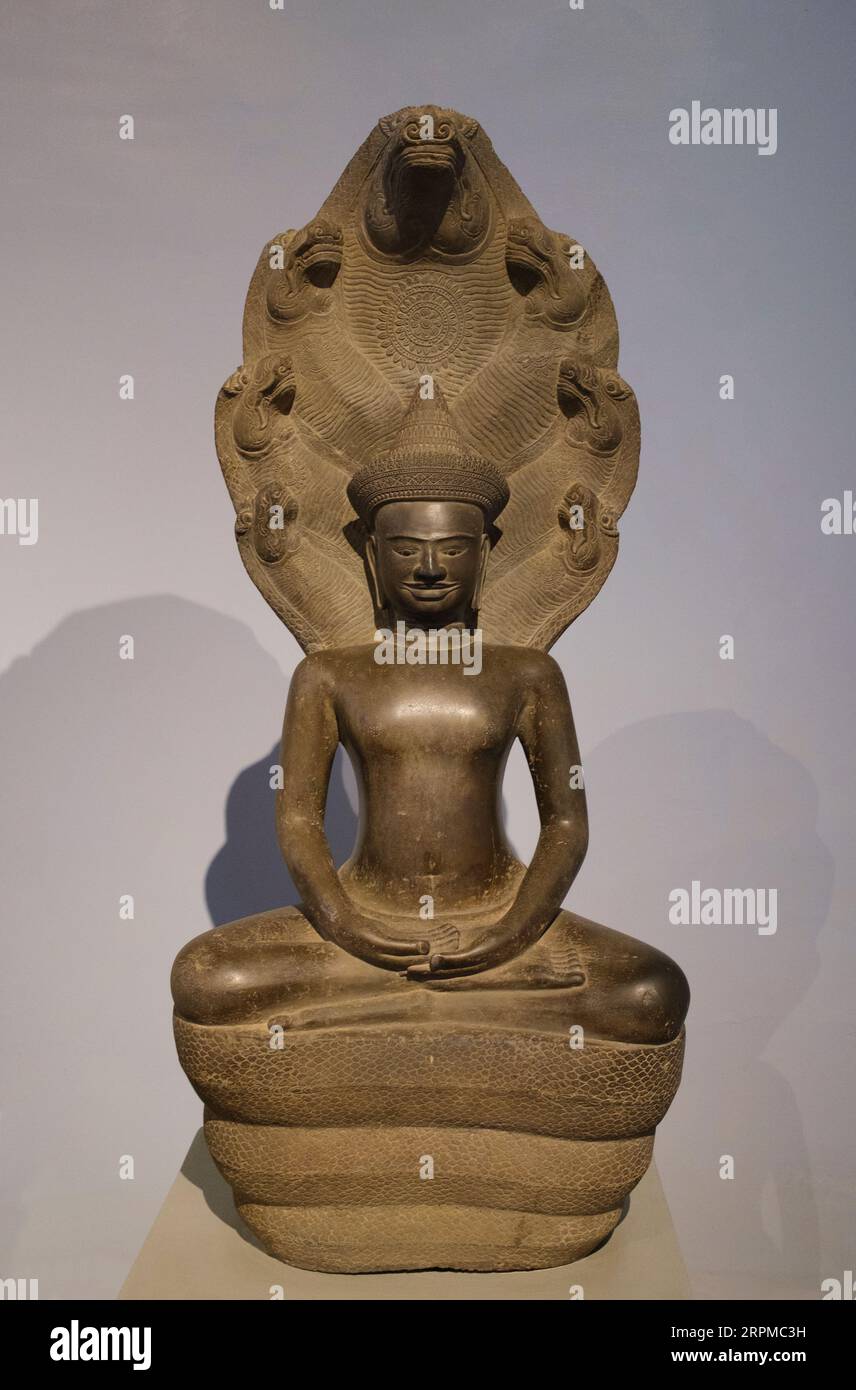 Camboya: Una estatua angkoriana del siglo XII que muestra a Mucalinda, el Rey de las Serpientes (naga), protegiendo al Buda. Originario de Puor cerca de Siem Reap, ahora en el Museo Nacional de Camboya, Phnom Penh. El Museo Nacional, ubicado en un pabellón rojo construido en 1918, alberga una colección de arte jemer que incluye algunas de las mejores piezas existentes. Las exposiciones incluyen una estatua de Vishnu del siglo VI, una estatua de Shiva del siglo IX y la famosa cabeza esculpida de Jayavarman VII en pose meditativa. Particularmente impresionante es un busto dañado de un Vishnu reclinado. Foto de stock