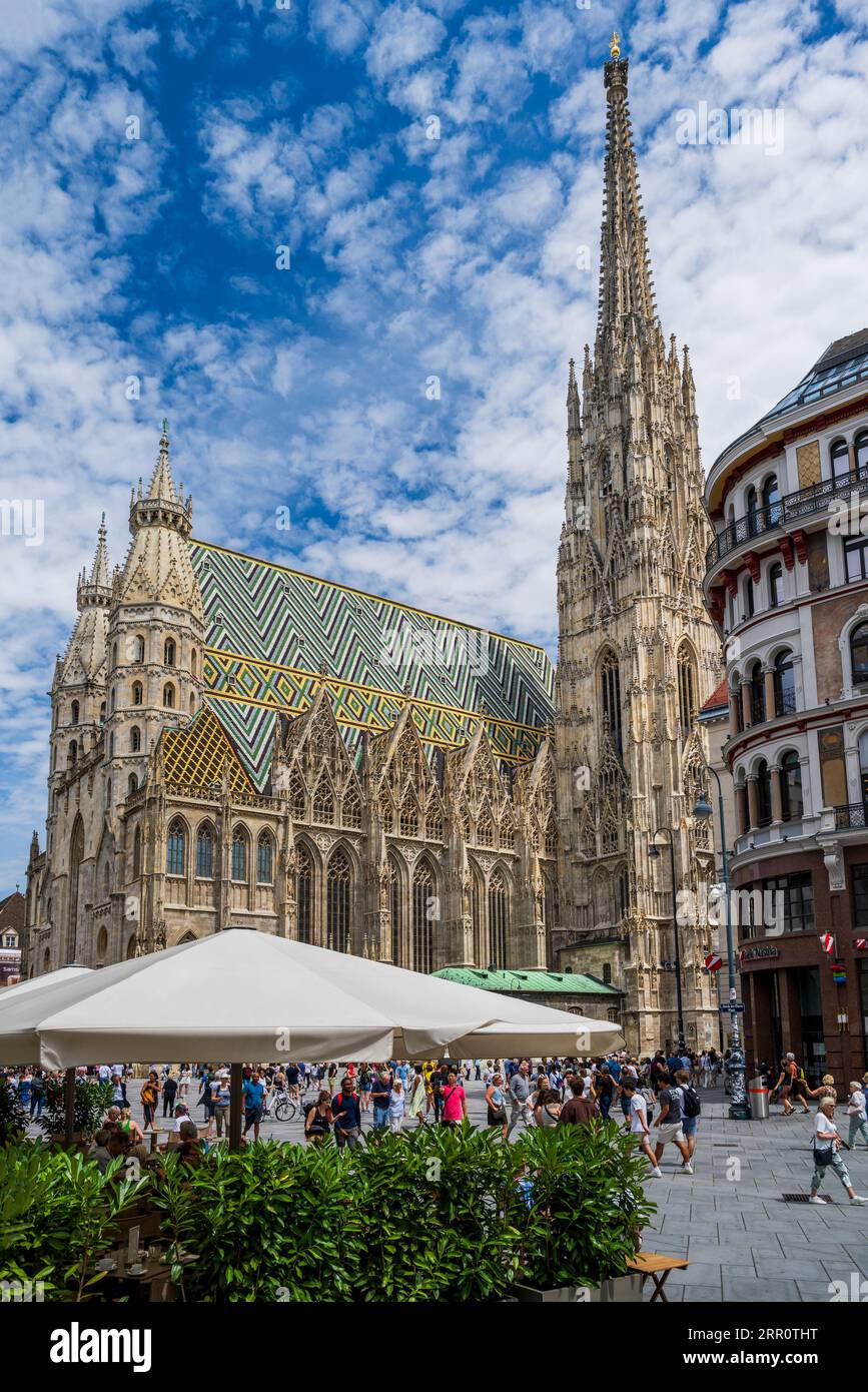 La Catedral de San Esteban (Stephansdom), Viena, Austria Foto de stock