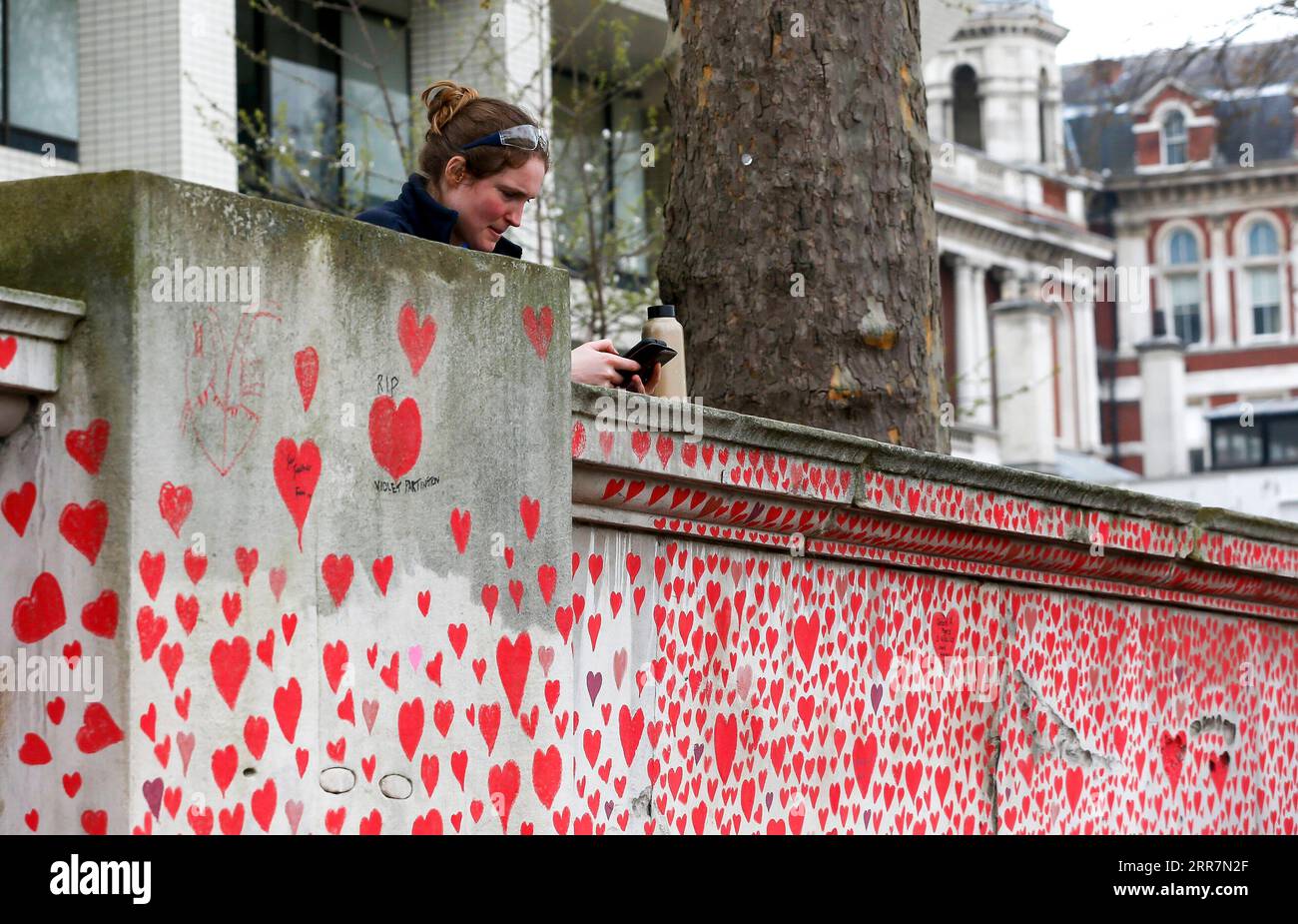 210401 -- LONDRES, 1 de abril de 2021 -- Una mujer es vista al lado del National COVID Memorial Wall en Londres, Gran Bretaña, el 31 de marzo de 2021. Los familiares y voluntarios en duelo están pintando corazones a lo largo de una pared de media milla frente a las Casas del Parlamento en Londres en recuerdo de aquellos que murieron por COVID-19. Otras 4.052 personas en Gran Bretaña dieron positivo por COVID-19, elevando el número total de casos de coronavirus en el país a 4.345.788, según cifras oficiales publicadas el miércoles. MURO CONMEMORATIVO DEL COVID DE GRAN BRETAÑA-LONDRES HANXYAN PUBLICATIONXNOTXINXCHN Foto de stock