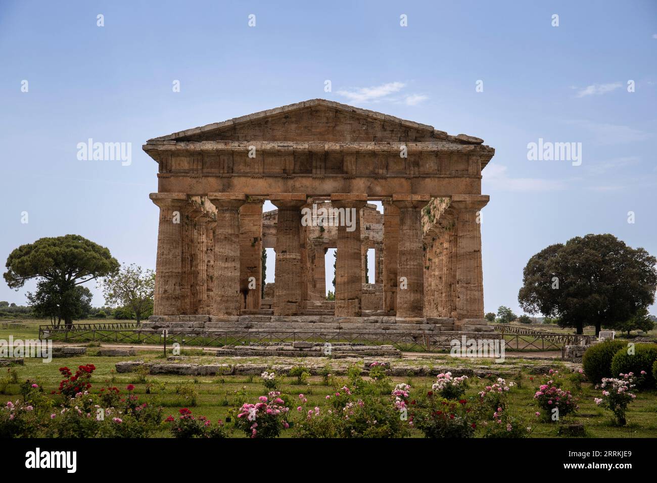 Parque Arqueológico Paestum, hermosas ruinas históricas de templos de la época romana, Campania, Salerno, Italia Foto de stock