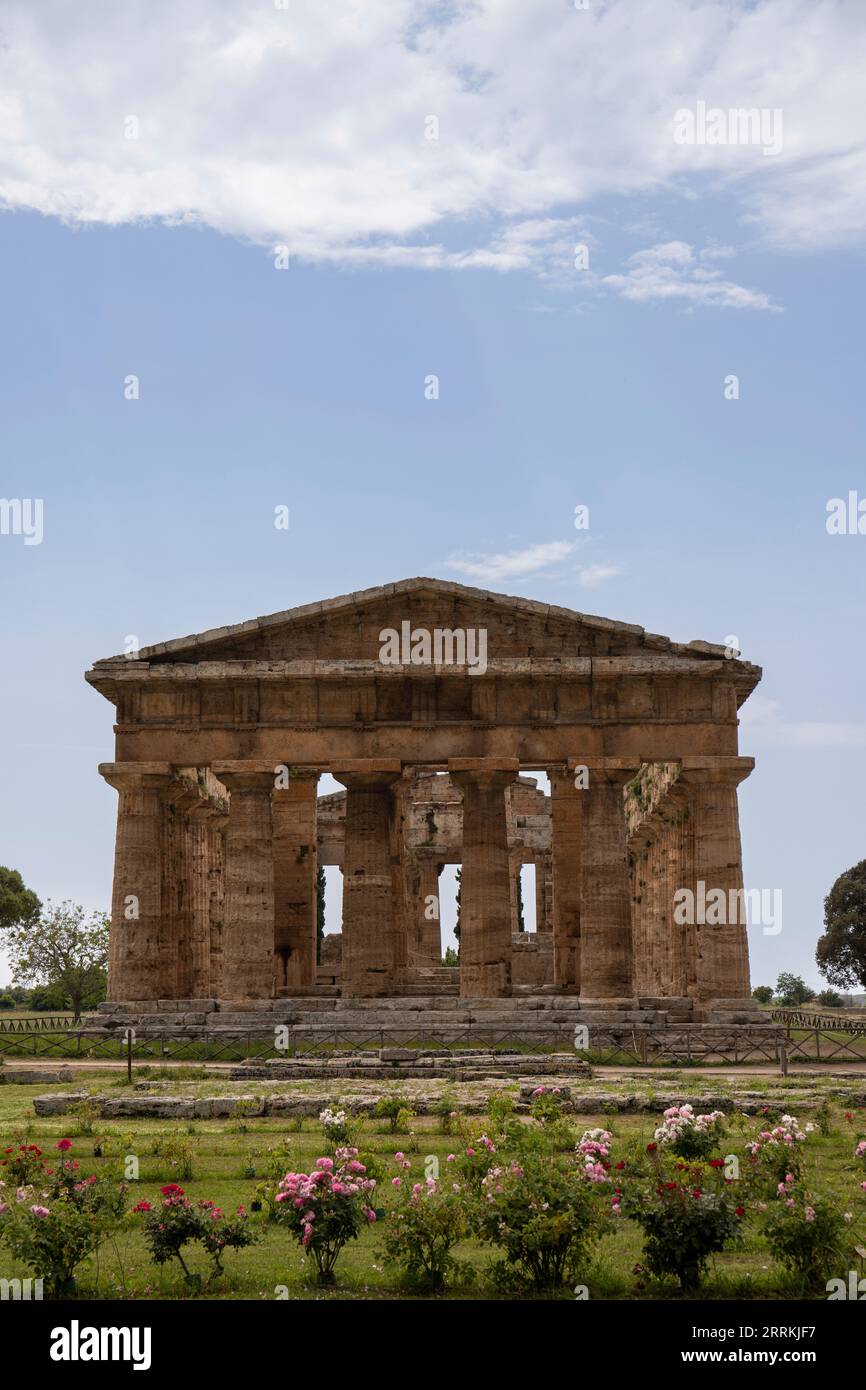 Parque Arqueológico Paestum, hermosas ruinas históricas de templos de la época romana, Campania, Salerno, Italia Foto de stock