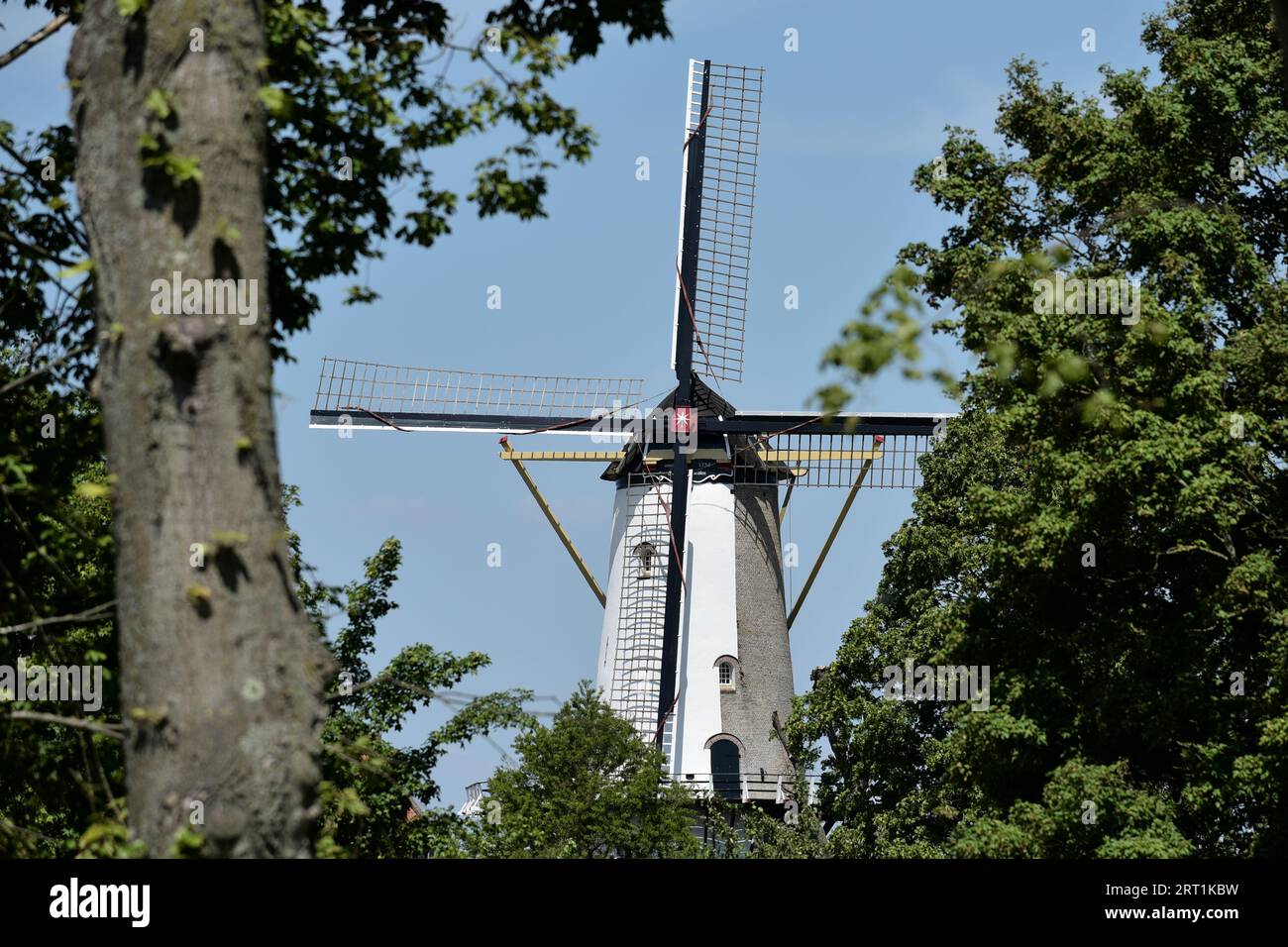 Molino de harina D'Orange en Willemstad, Países Bajos, visto desde entre los árboles Foto de stock
