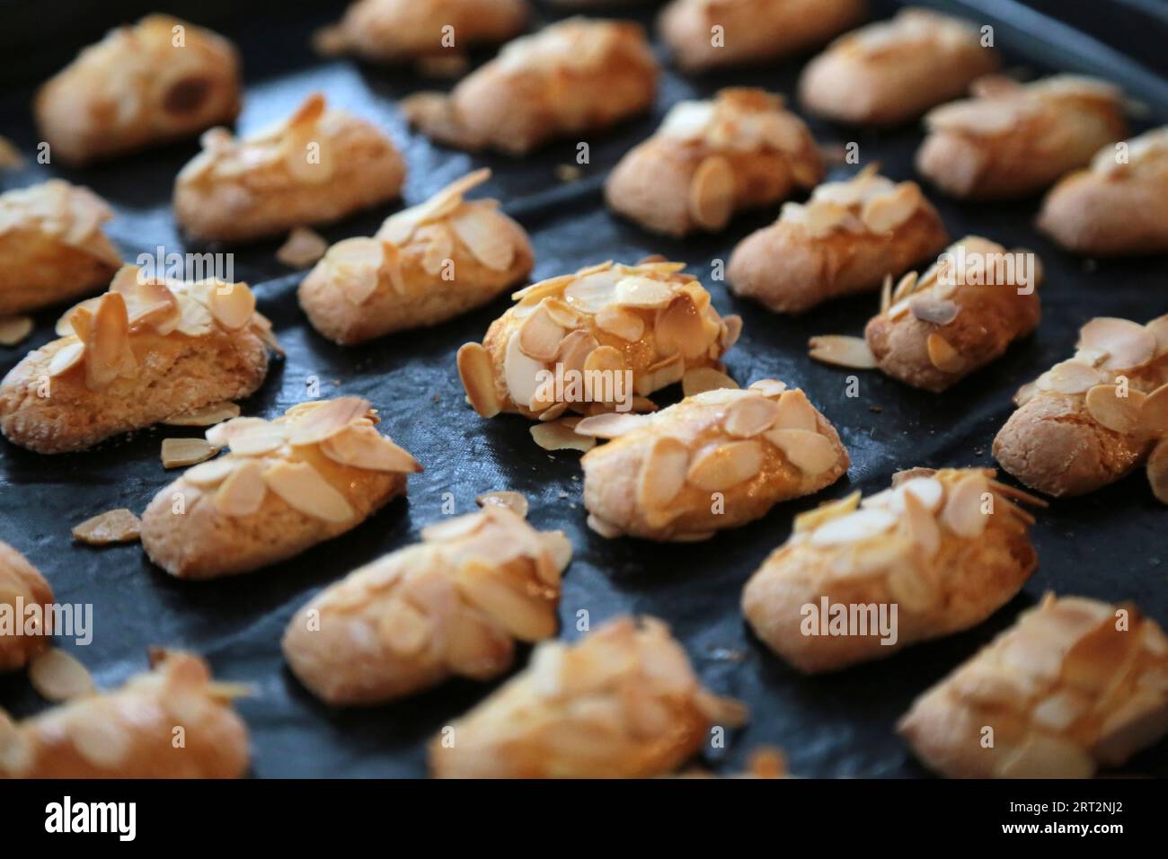 galletas caseras frescas para navidad Foto de stock