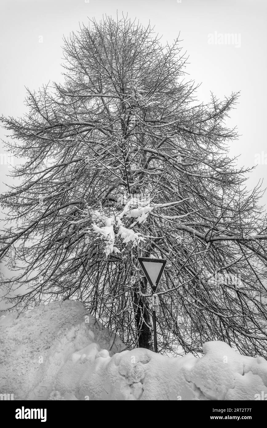 Invierno en Vogtland, hundido en la nieve Foto de stock