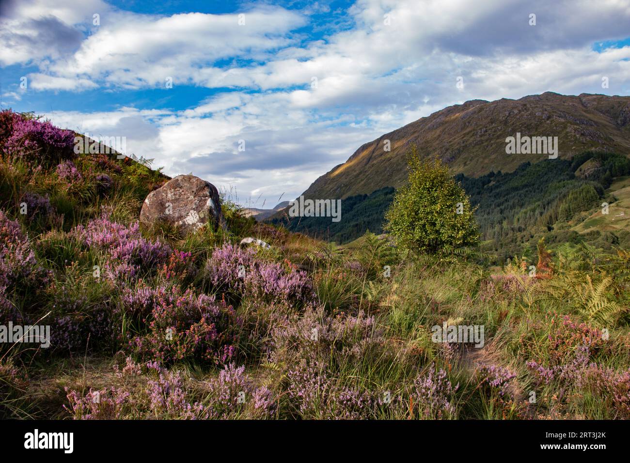 El viaducto de Glenfinnan, icónico ferrocarril de 1901 con una curva de