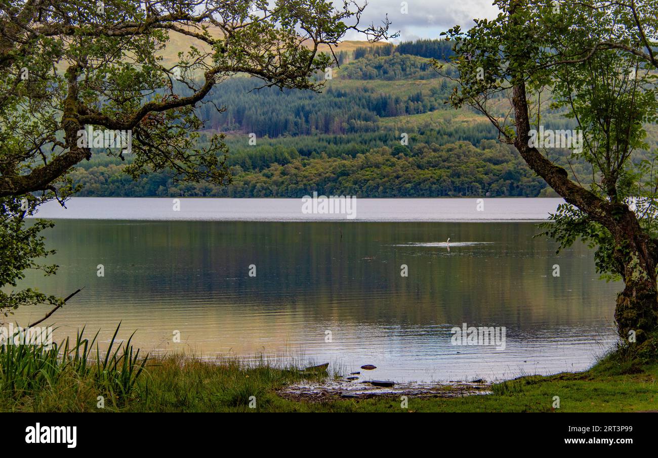 La calma y la quietud del idílico lago Tay, nr Killin, Escocia Foto de stock