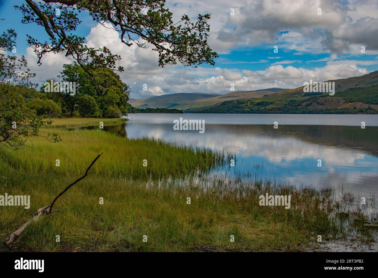 La calma y la quietud del idílico lago Tay, nr Killin, Escocia Foto de stock