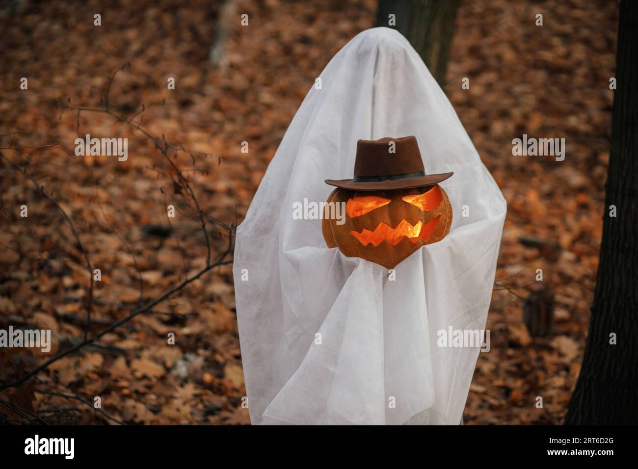 Creativo disfraz de halloween para un adulto un fantasma de una sábana  blanca con gafas de sol negras bailando en un campo de otoño concepto de  truco o trato