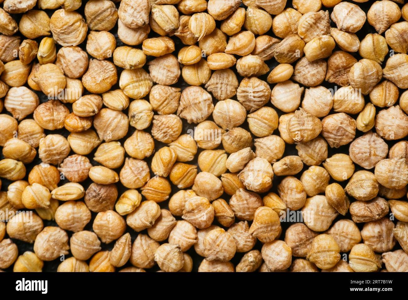 Primer plano de semillas de ensalada de maíz (alerianella locusta) Foto de stock