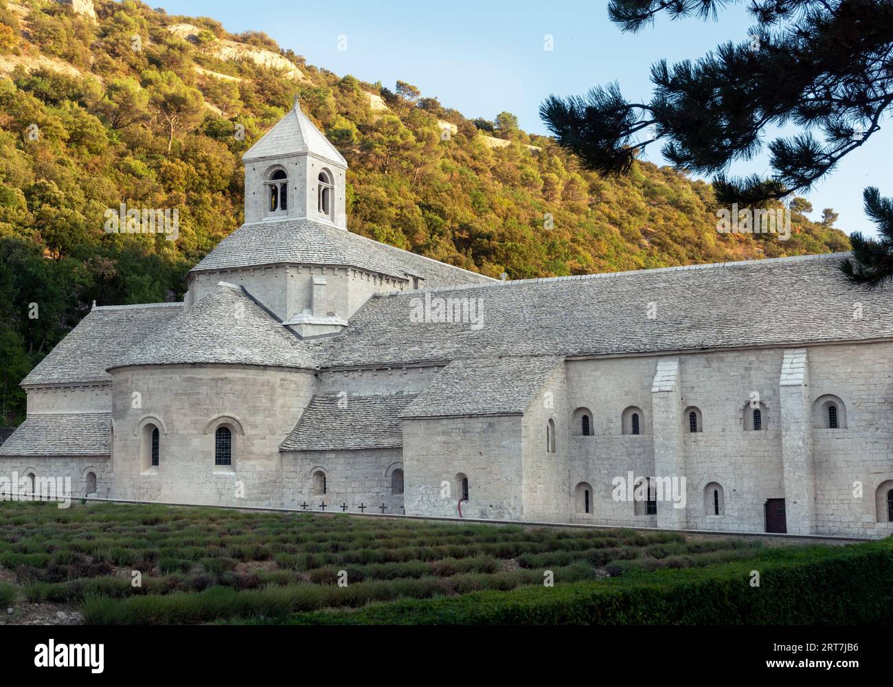 El famoso monasterio Abbaye Notre-Dame de Sénanque, Gordes, Francia, donde se encuentran las famosas plantaciones de lavanda. Imagen tomada después de la cosecha. Foto de stock