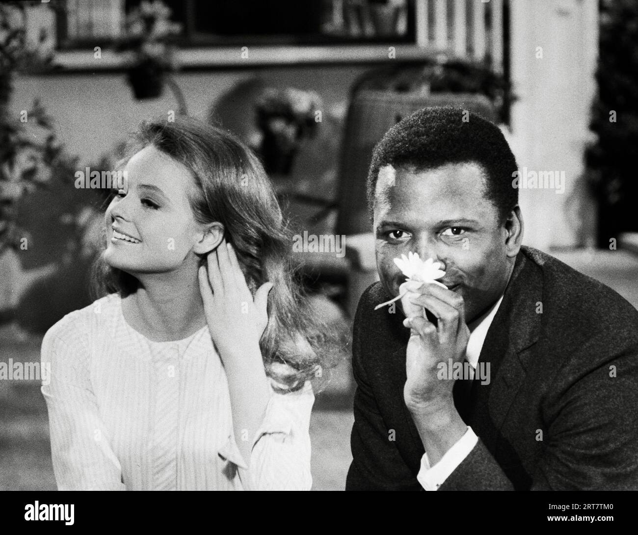 Katharine Houghton, Sidney Poitier, 'Adivina quién viene a cenar' (1967). Crédito de la foto: Columbia Pictures (Referencia del archivo # 34580-204THA) Foto de stock