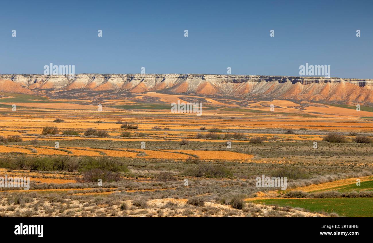 Cuenca del Ebro, Montañas de la Mesa con estepa y campos, España, Aragón, Belchite Foto de stock