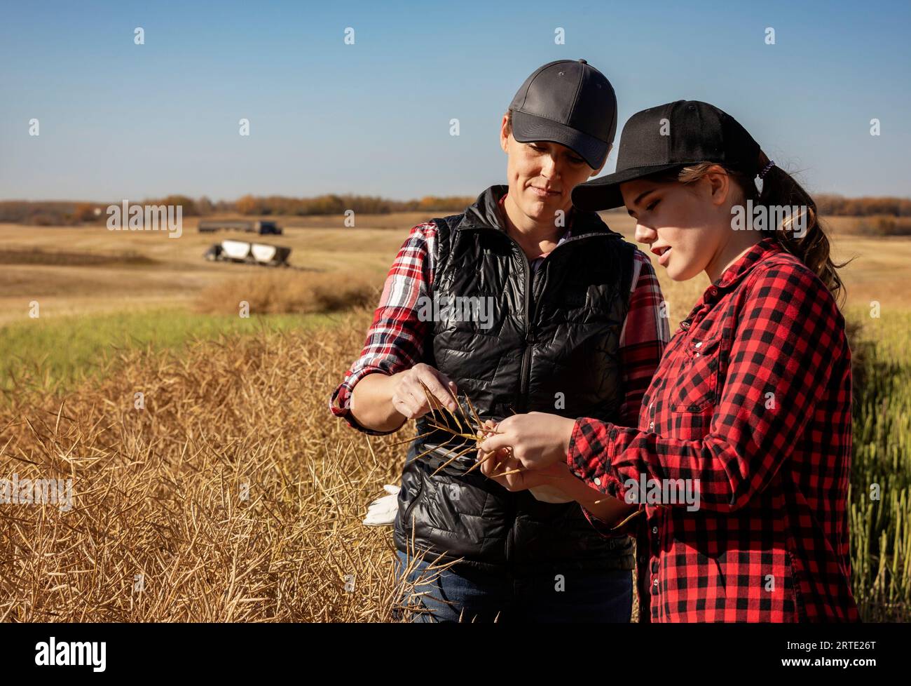 Una agricultora de pie en los campos enseñando a su aprendiz sobre técnicas agrícolas modernas para los cultivos de canola utilizando tecnologías inalámbricas y... Foto de stock