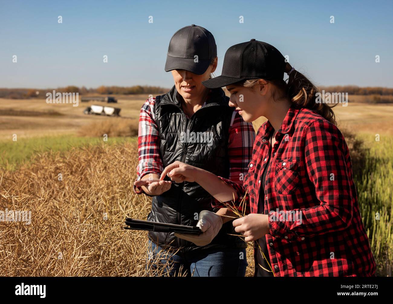 Una agricultora de pie en los campos enseñando a su aprendiz sobre técnicas agrícolas modernas para los cultivos de canola utilizando tecnologías inalámbricas y... Foto de stock