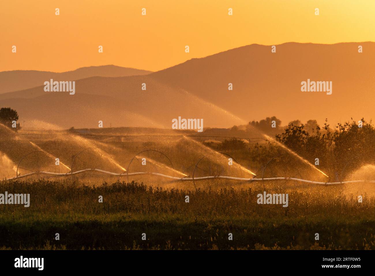 EE.UU., Idaho, Bellevue, sistema de riego de granja con paisaje de montaña en el fondo al atardecer Foto de stock