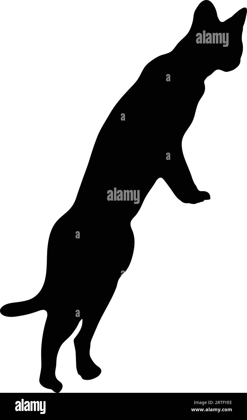 Silueta de gato negro o vector de gato sobre fondo blanco Ilustración del Vector