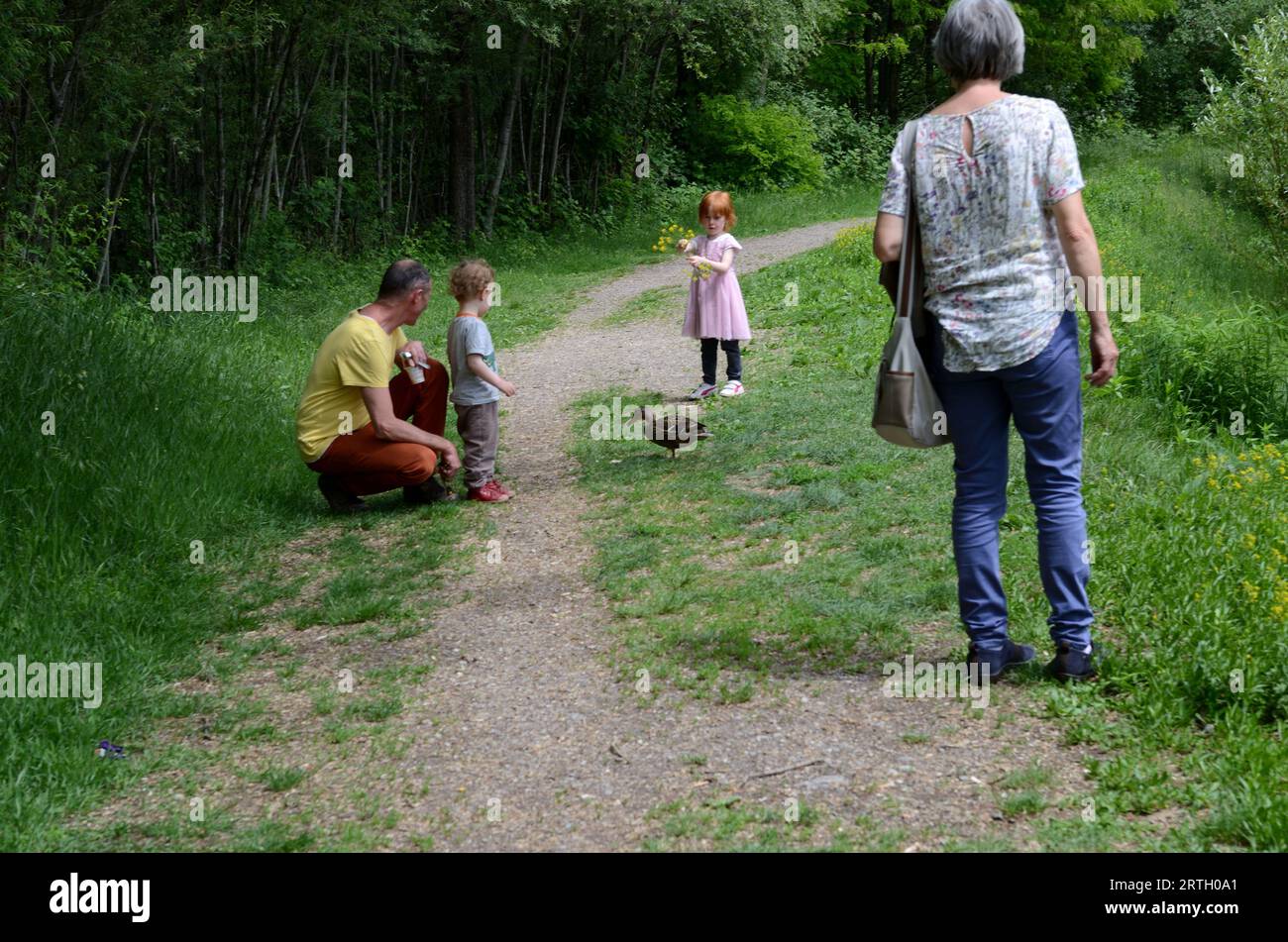 Familia en el parque, Abuelos con nietos en el parque, Pato siguiendo a los niños, Tiempo en familia Foto de stock