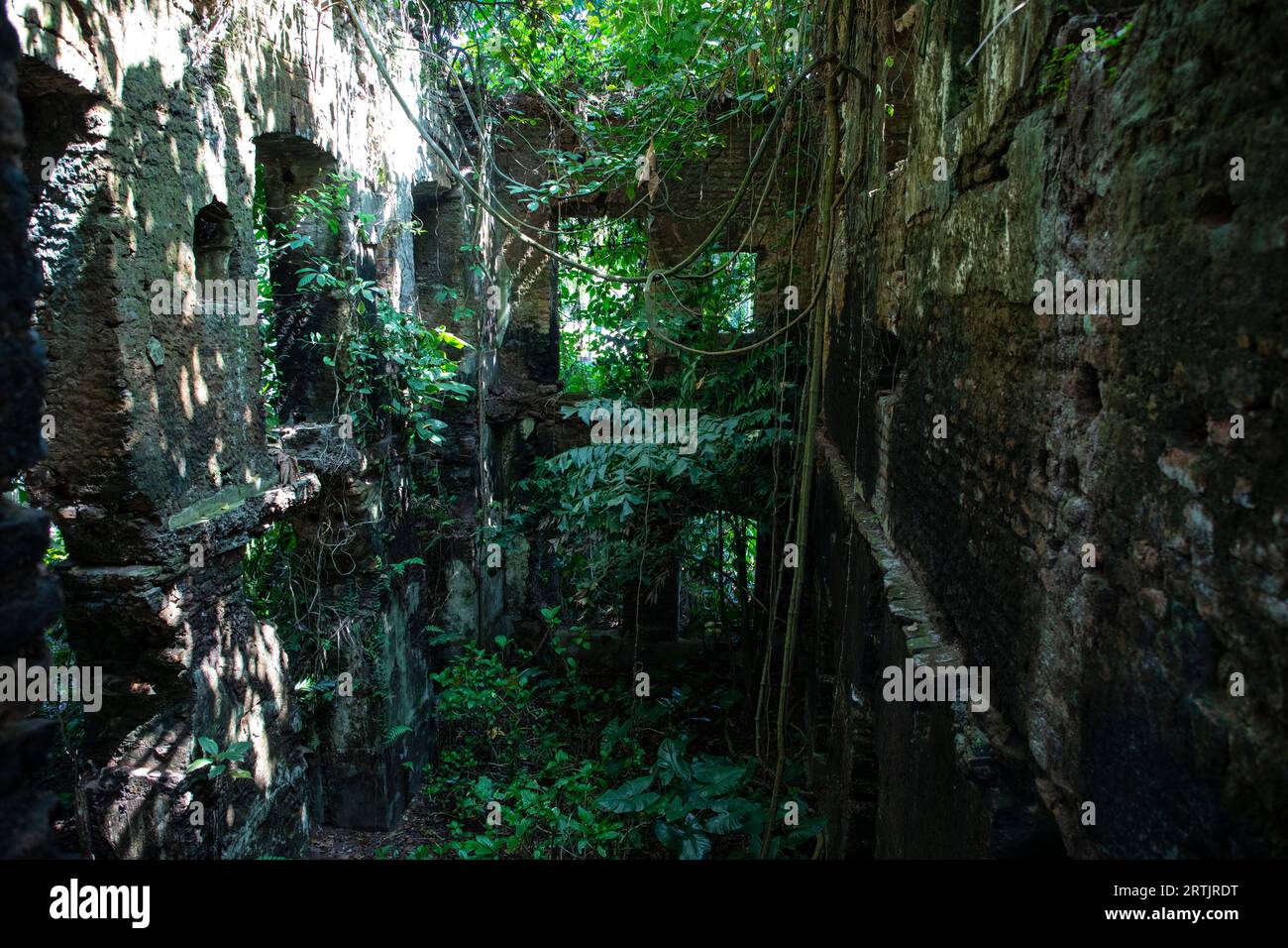 Kishorganj, Bangladesh: El hogar ancestral en ruinas del mundialmente reconocido cineasta ganador de un Oscar Satyajit Ray en la aldea de Masua en Katiadi upazila de K Foto de stock