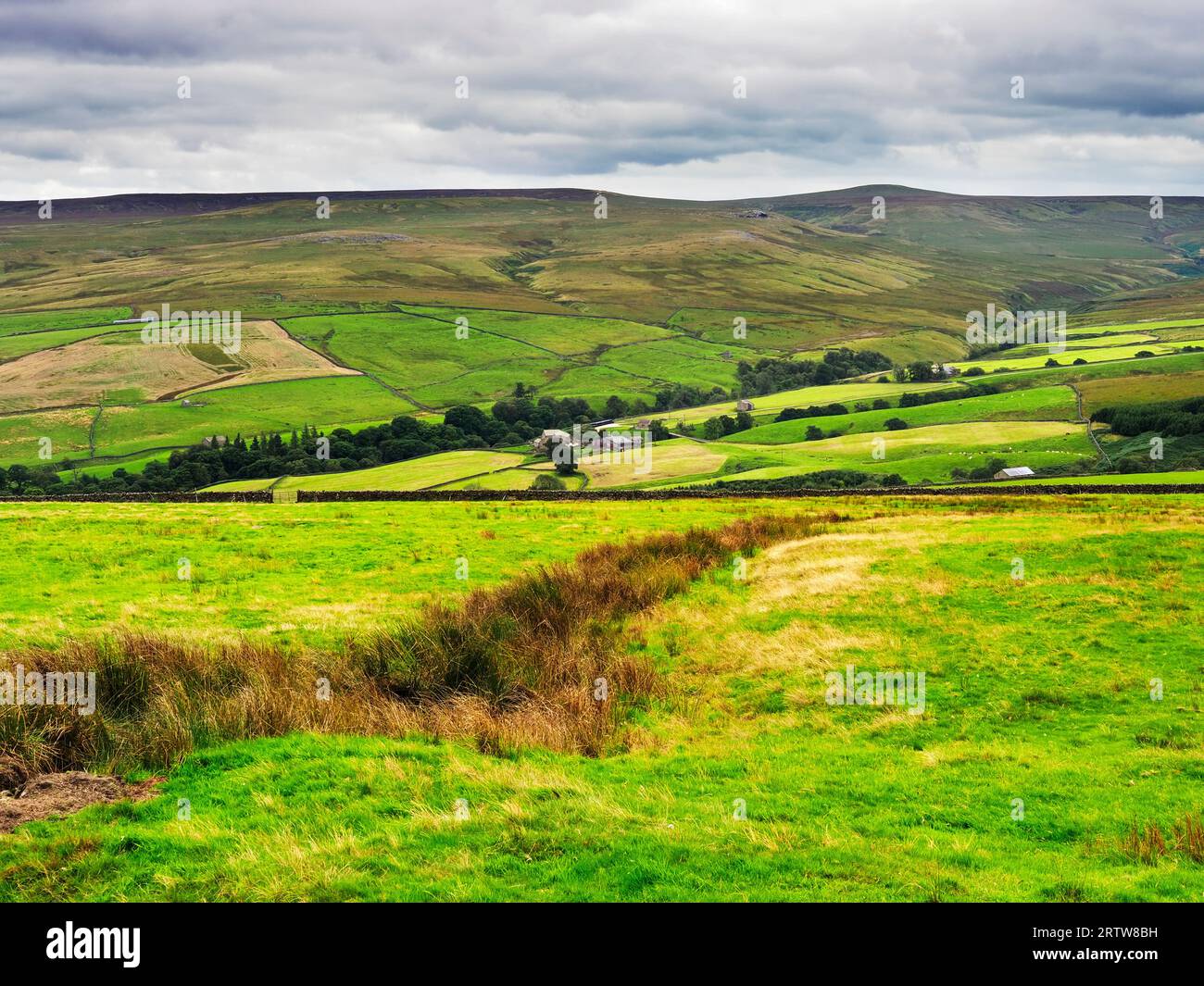 Upper Nidderdale desde Nidderdale Way en Moor Lane entre Scar House y
