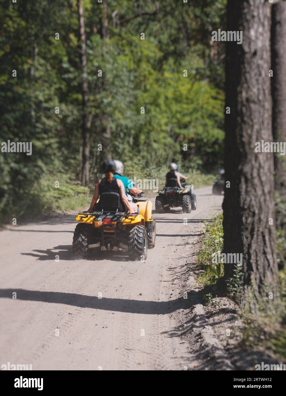 Grupo de jinetes que montan vehículo de ATV que cruzan la carretera rural del bosque, proceso de conducir un vehículo de alquiler, todo terreno vehículo de la bici quad, durante tou tou fuera de la carretera Foto de stock