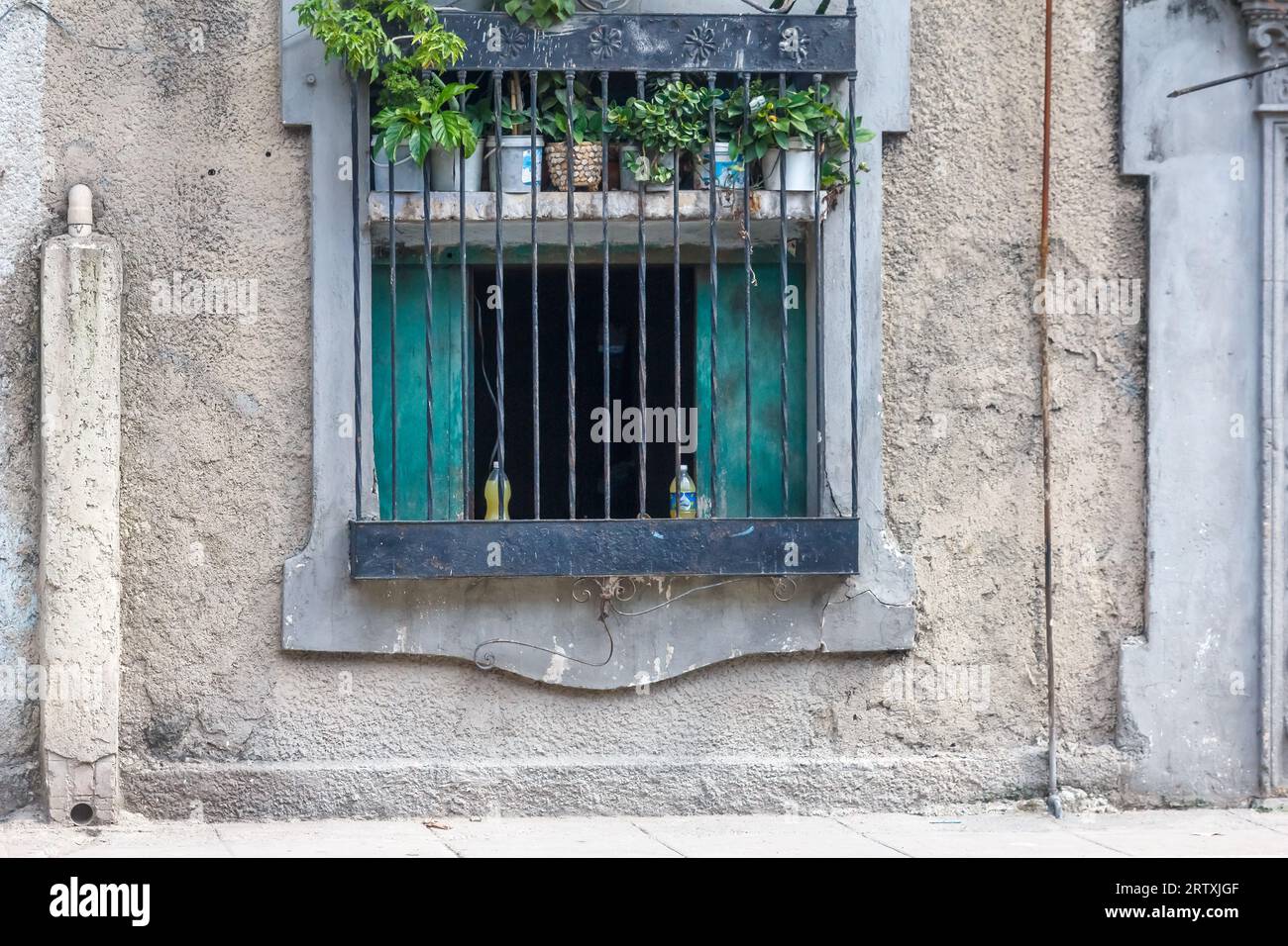 La Habana, Cuba, 2023, plantas en maceta en una ventana de la casa. La pared de la fachada está desgastada e inacabada. Foto de stock