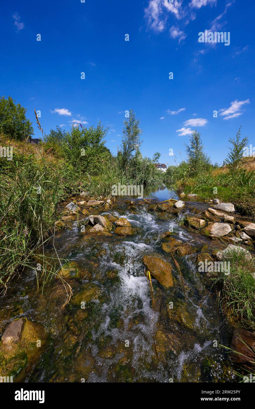 07.07.2023, Alemania, Renania del Norte-Westfalia, Recklinghausen - Hellbach renaturalizado, curso de agua renaturalizado, el Hellbach está ahora libre de desperdicios Foto de stock