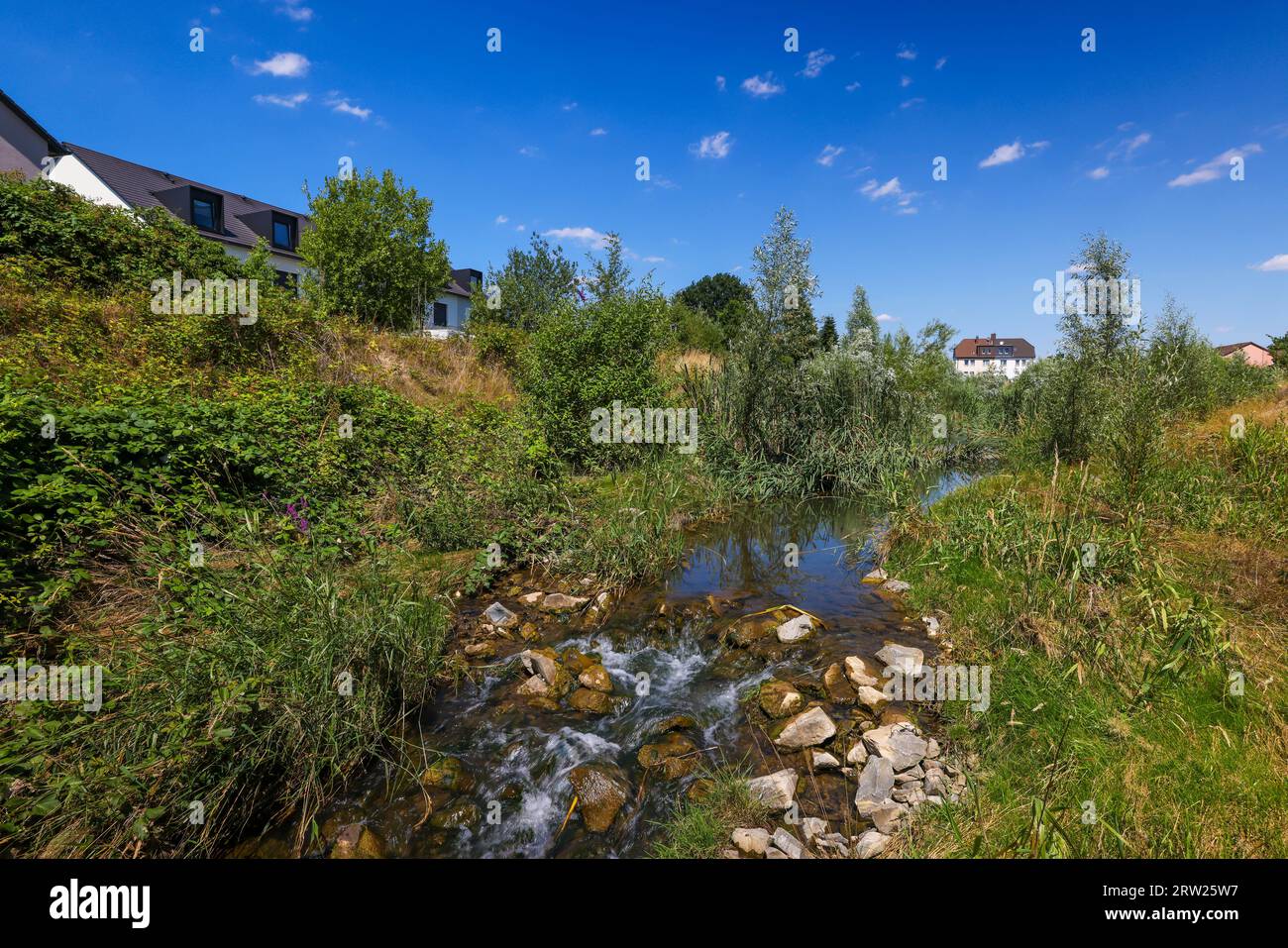 07.07.2023, Alemania, Renania del Norte-Westfalia, Recklinghausen - Hellbach renaturalizado, curso de agua renaturalizado, el Hellbach está ahora libre de desperdicios Foto de stock