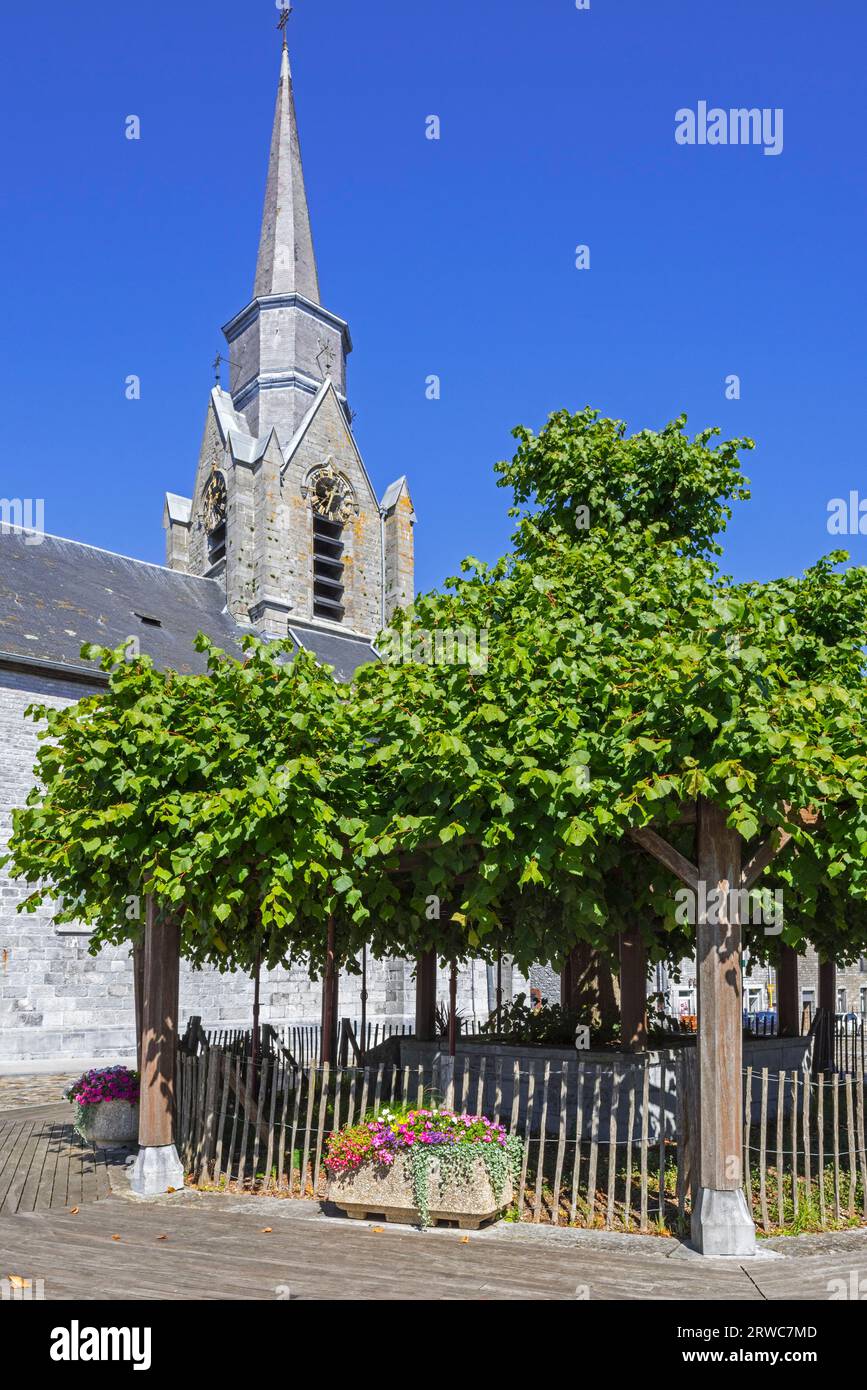 St Jean la Iglesia Bautista y árboles de tilo centenarios, plantados en la plaza de la iglesia en 1714 en el pueblo Macon, Momignies, Hainaut, Bélgica Foto de stock