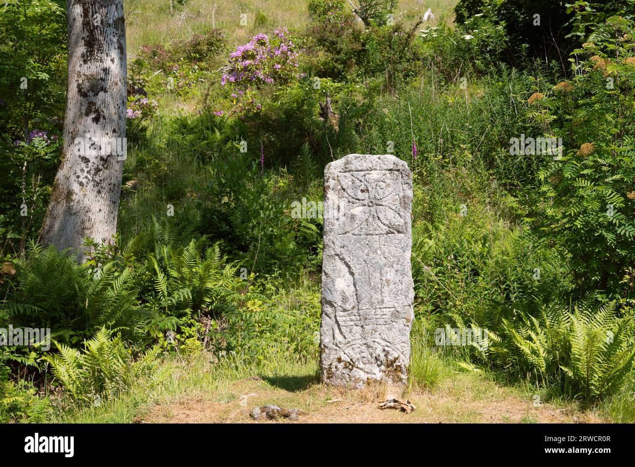 Una antigua Piedra Pictish de pie en Raasay en las Hébridas Interiores, con varios símbolos tallados incluyendo la Cruz Chi-Ro en la parte superior Foto de stock