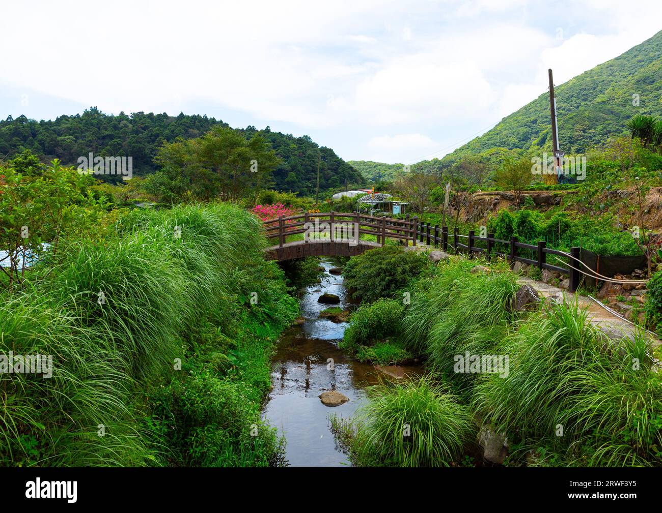 Puente de madera en Zhu Zi Hu aka lago de bambú, Beitou, Taipei, Taiwán Foto de stock