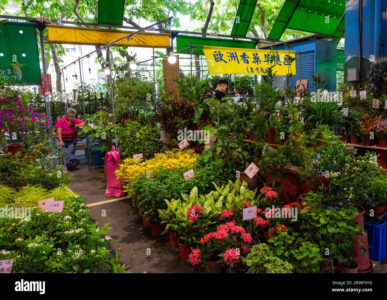 Mercado de flores de vacaciones de Jianguo, distrito de Daan, Taipei, Taiwán Foto de stock