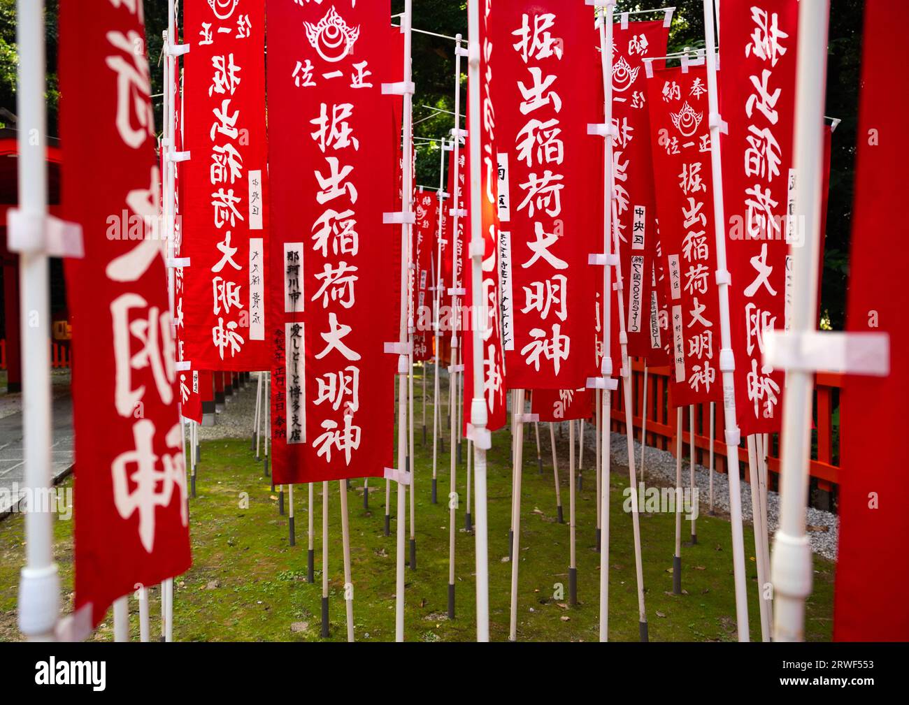 Banderas en el santuario de Gokuku, región de Kyushu, Fukuoka, Japón Foto de stock