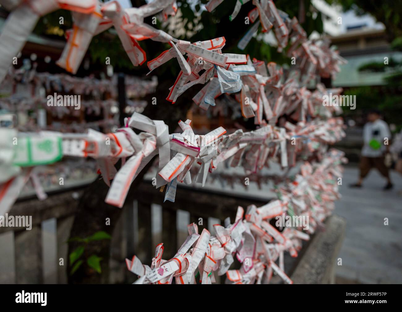 Omikuji Papel japonés de la fortuna envuelto en el santuario sintoísta de Kushida-jinja, región de Kyushu, Fukuoka, Japón Foto de stock