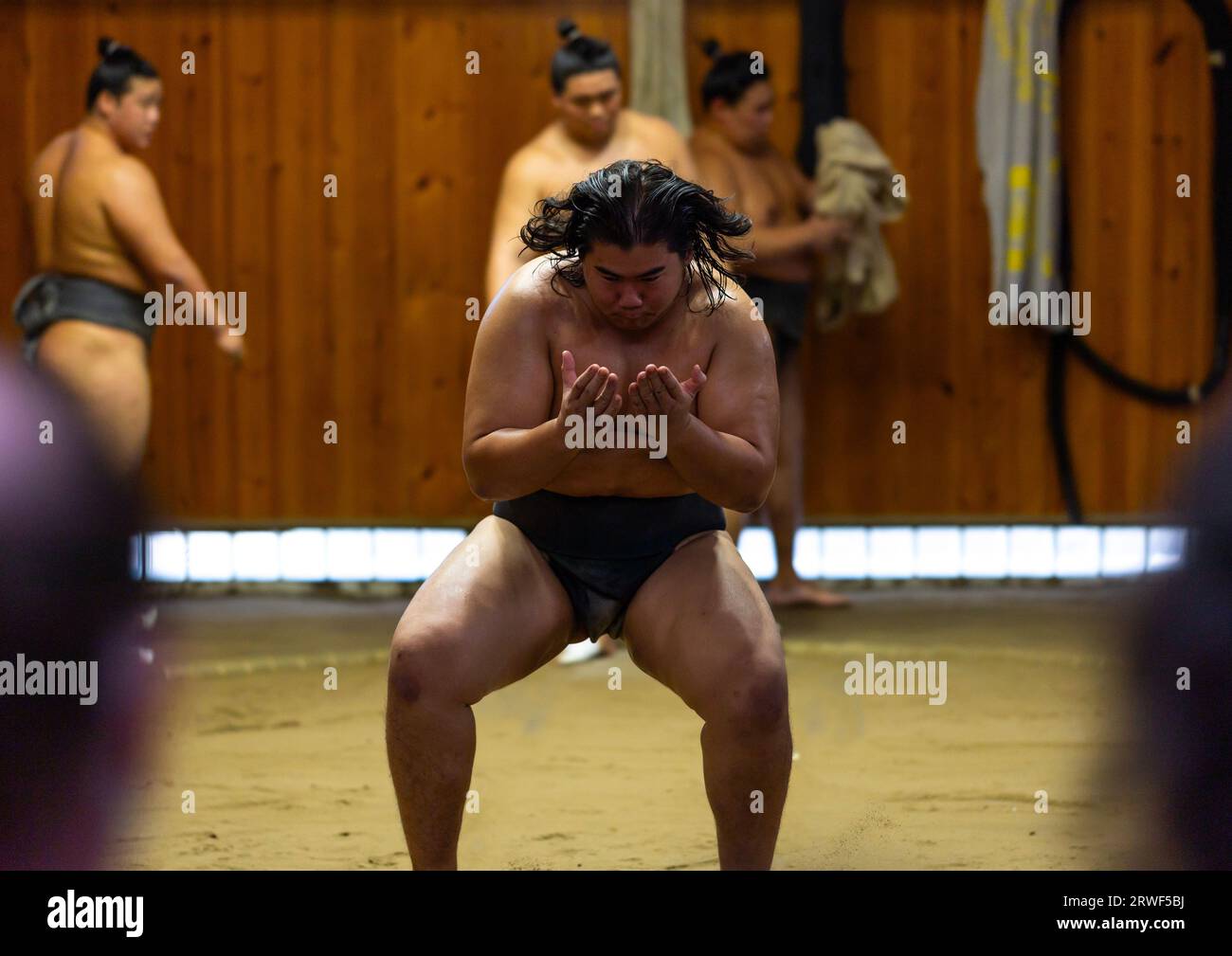 Luchadores de sumo entrenando en el establo de sumo Tatsunami Beya, región de Kanto, Tokio, Japón Foto de stock