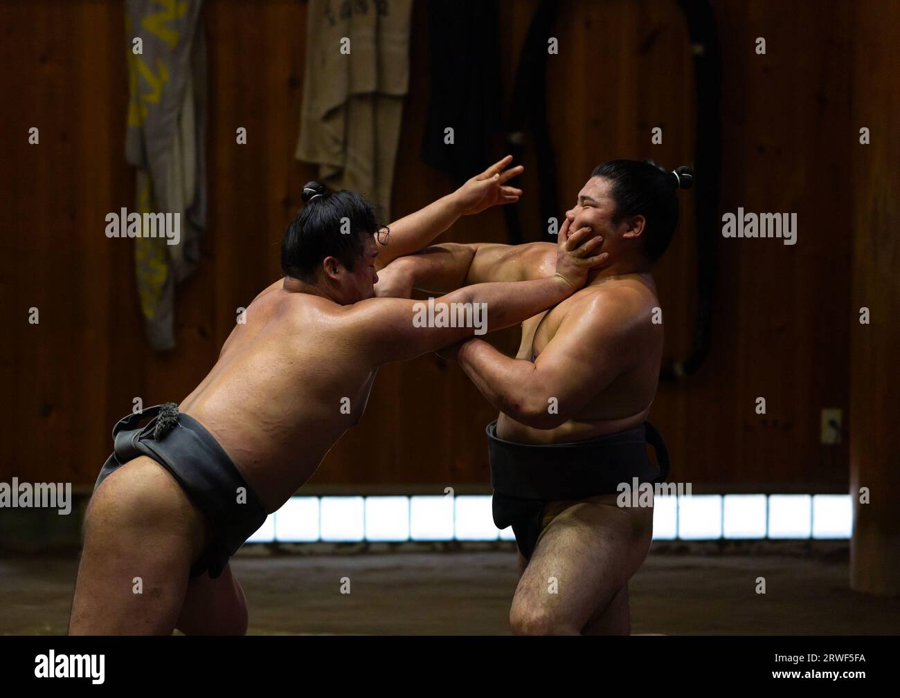 Luchadores de sumo luchando en el establo de sumo Tatsunami Beya, región de Kanto, Tokio, Japón Foto de stock
