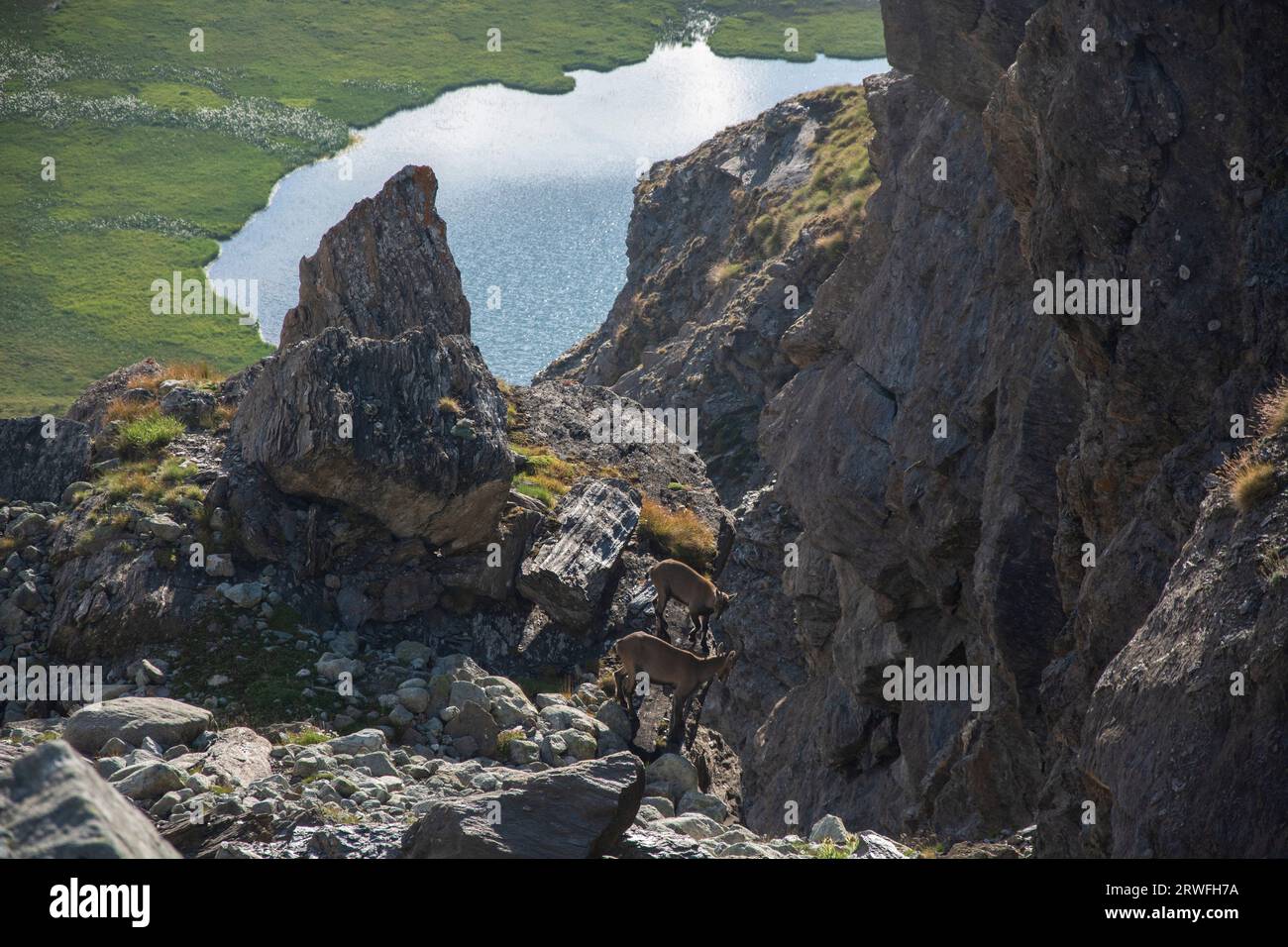 Die seen von Tsofeiret, alpines Flachmoor im Walliser Val de Bagnes Foto de stock