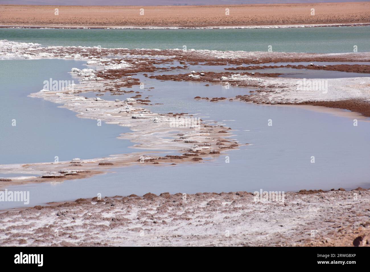 Laguna Tebenquiche con estromatolitos. Salar de Atacama, Antofagasta, Chile. Foto de stock