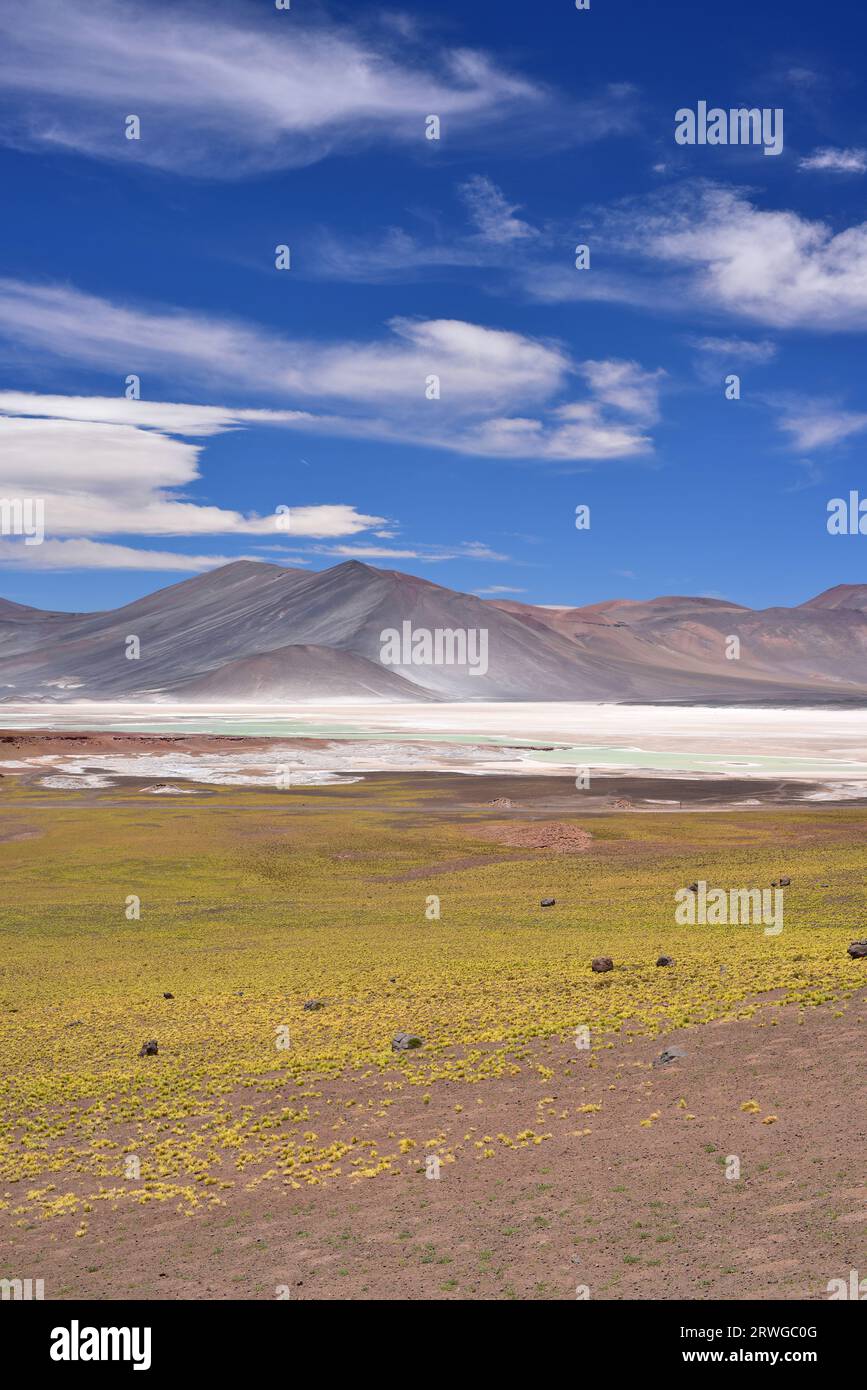 Laguna y Salar de Talar. Salar de Atacama, Antofagasta, Chile. Foto de stock