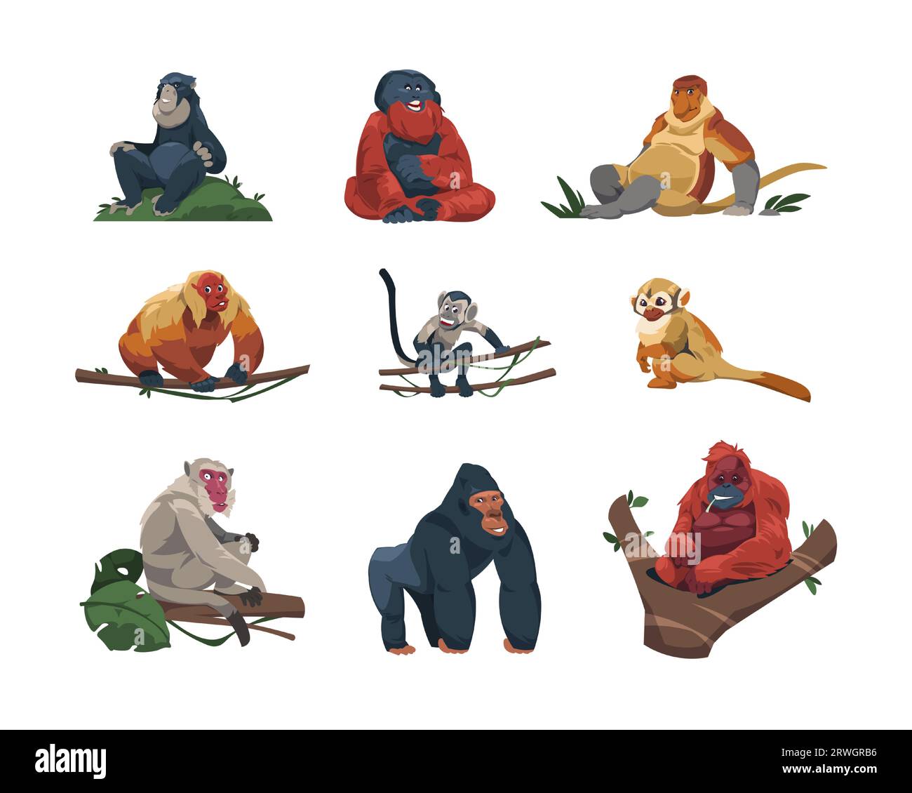 Especie de mono. Lindos simios tropicales estilo de dibujos animados planos, coloridos divertidos primates de la selva de la vida silvestre, animales exóticos del zoológico en diferentes poses. Vector aislado Ilustración del Vector