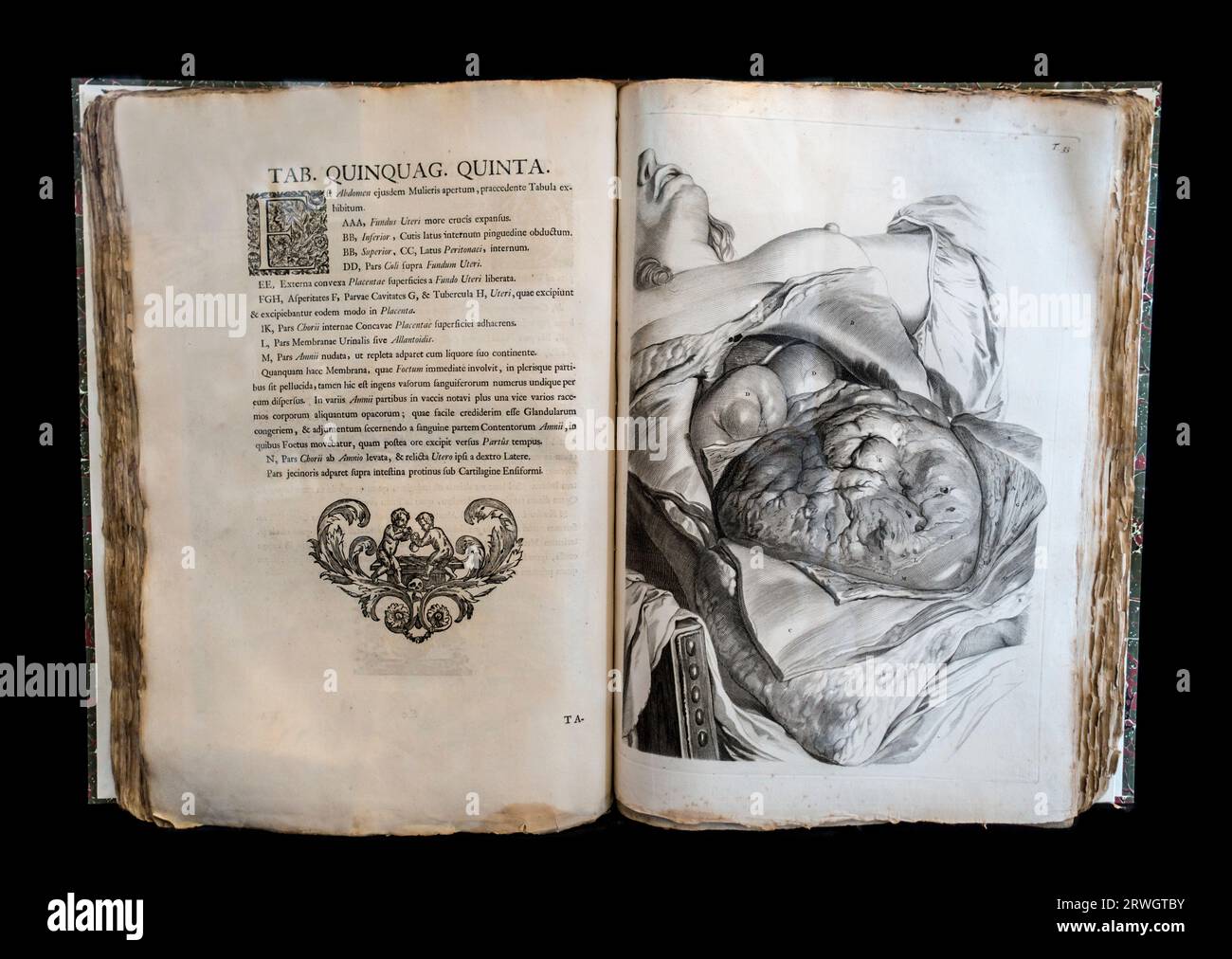 Antiguo libro abierto de anatomía Anatomia corporum Humanorum Centum et Viginti Tabulis por William Cowper, cirujano y anatomista inglés del siglo XVII Foto de stock