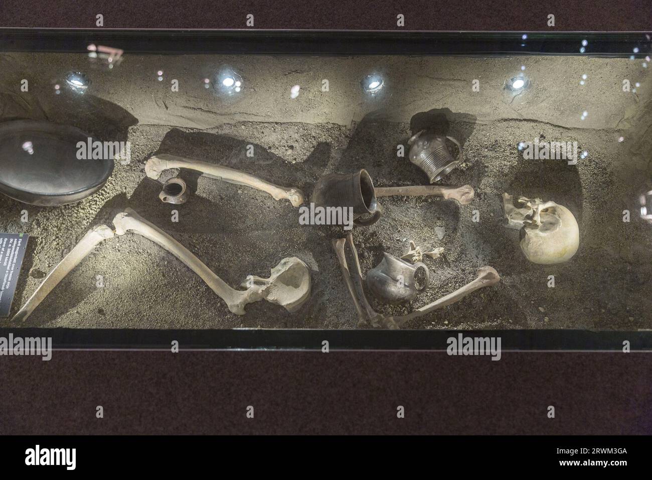 Esqueleto en la tumba en el Museo Nacional de Budapest Foto de stock