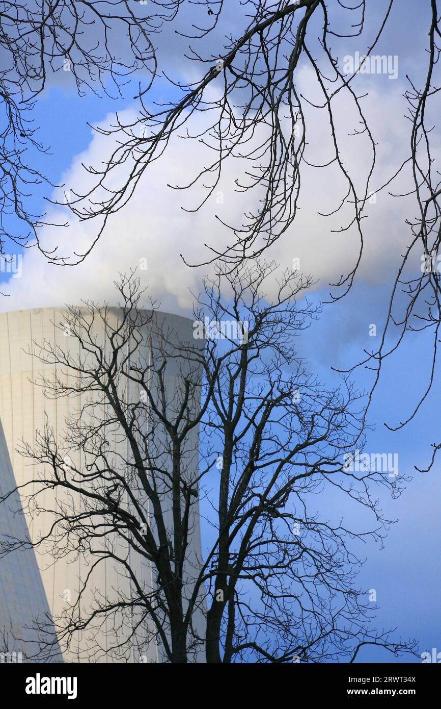 Torre de enfriamiento que libera vapor de agua, ramas de árboles en primer plano, cielo azul en el fondo Foto de stock