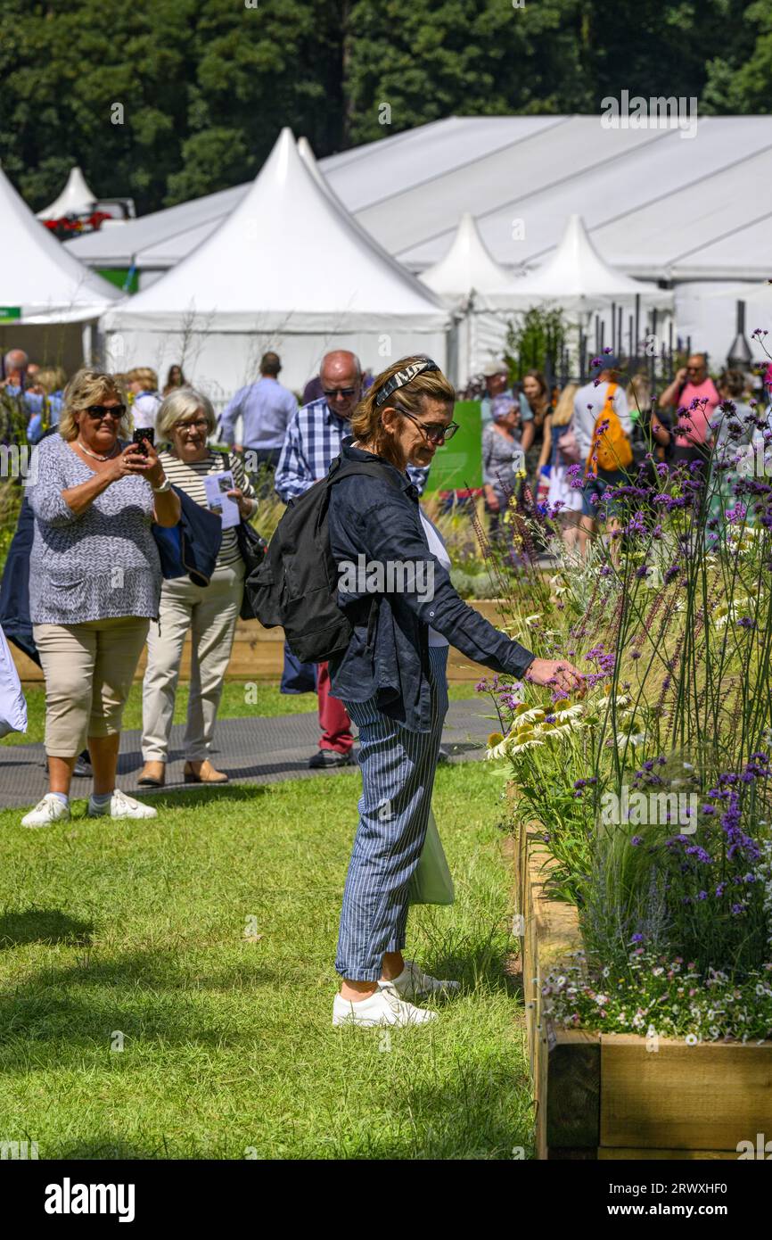 Los visitantes de pie y mirando, ven la entrada al concurso de horticultura de cama elevada - RHS Tatton Park Flower Show 2023 Showground, Cheshire, Inglaterra, Reino Unido. Foto de stock