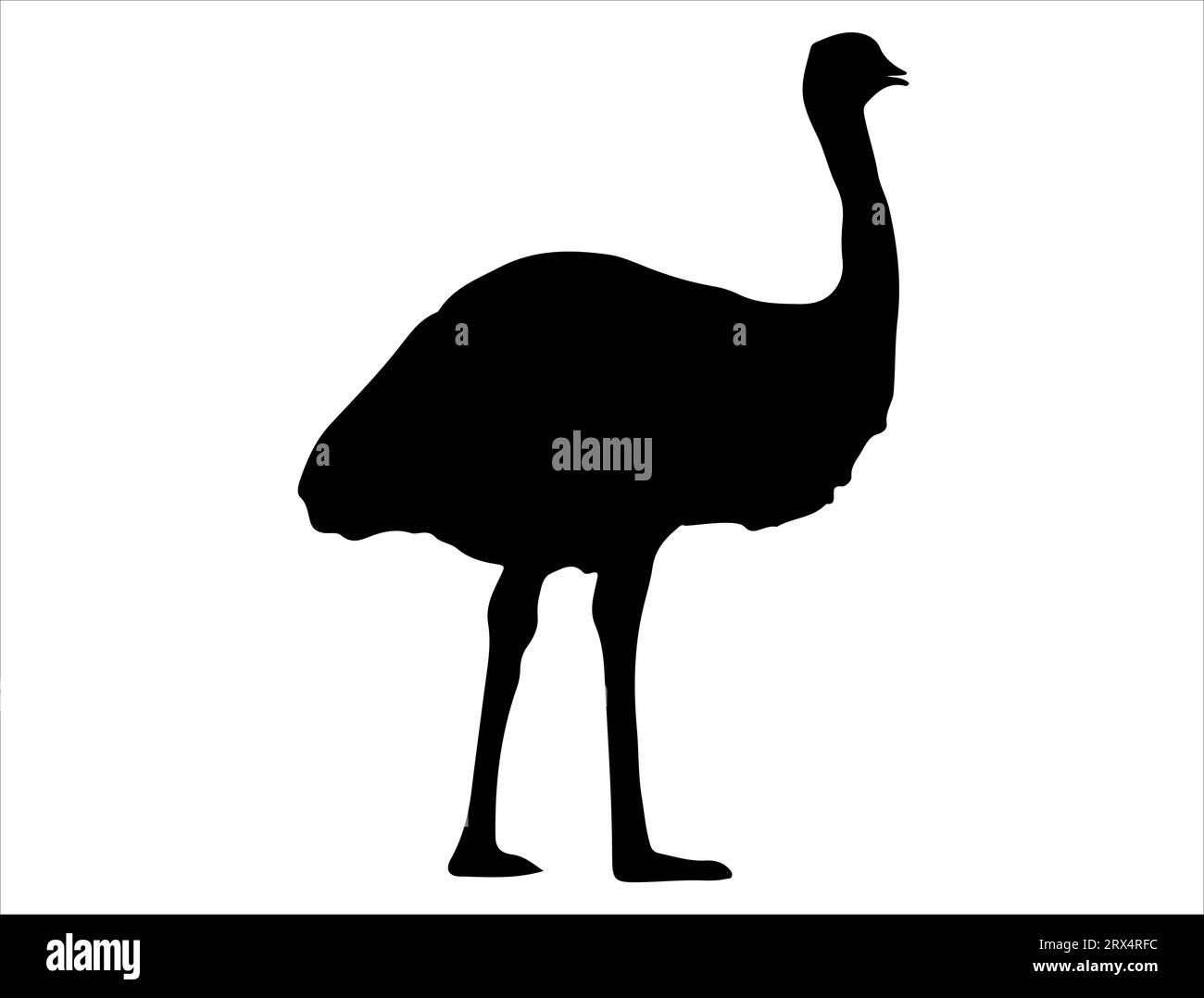 Emu silueta vector arte de fondo blanco Ilustración del Vector