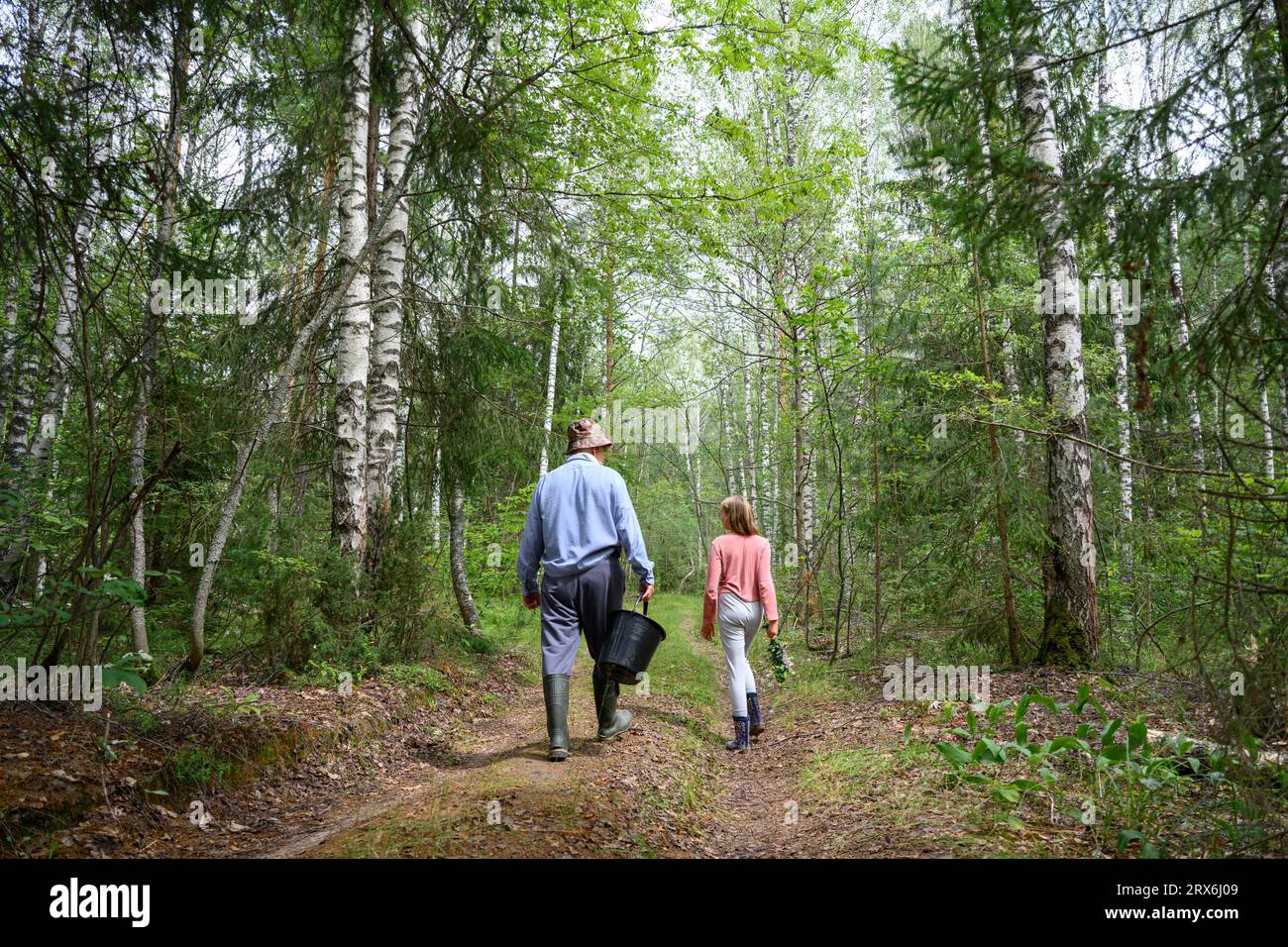Hombre mayor con su nieta caminando en el bosque Foto de stock