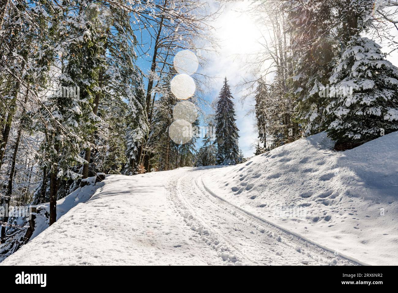 Alemania, Baviera, Sol brillando sobre la carretera cubierta de nieve en la montaña Sollereck Foto de stock