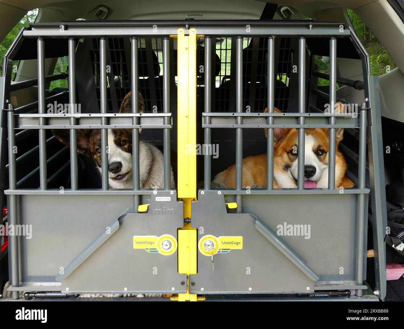 Pet World Ford Mondeo Estate Car Cage pour chien Cage pour animaux