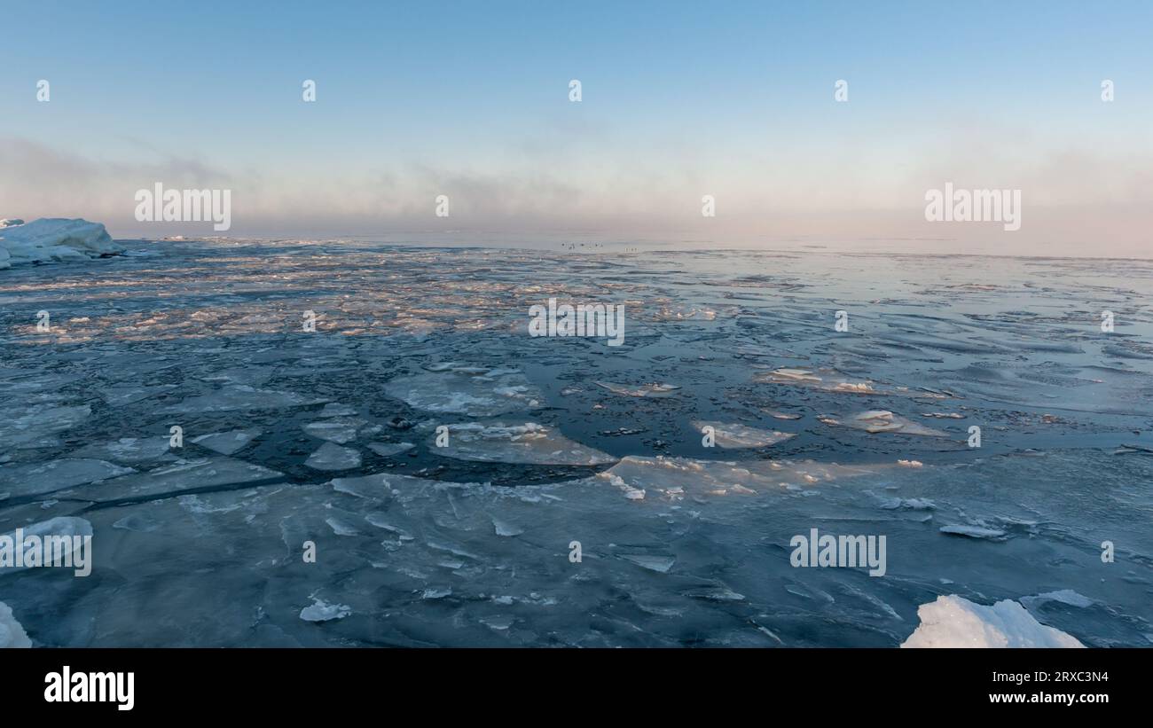 Orilla del mar congelada con niebla helada y aves distantes nadando entre los bloques de hielo en Pori, Finlandia Foto de stock