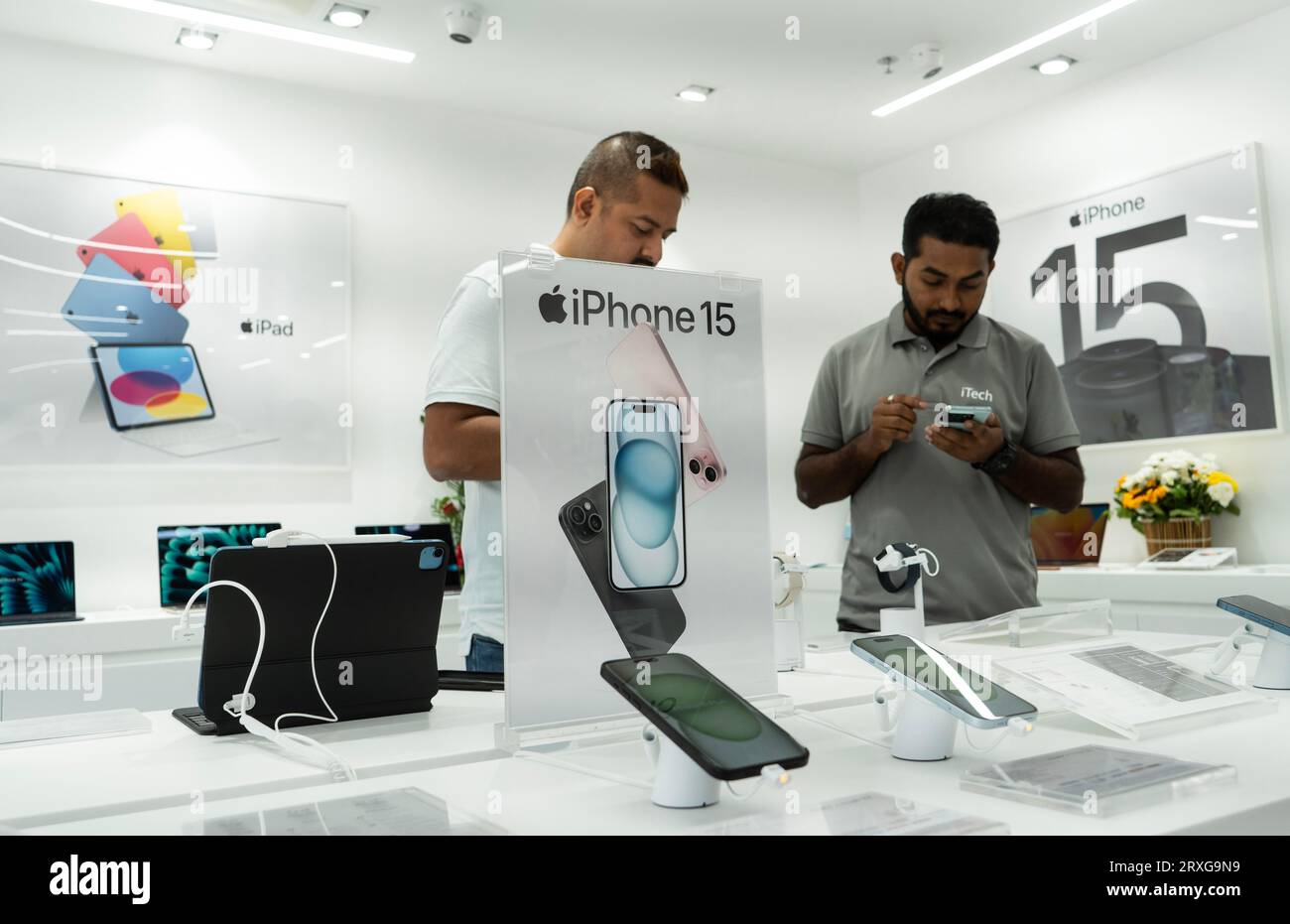 Los teléfonos inteligentes Apple iPhone serie 15 se muestran en una